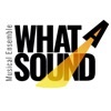 Münster - WhatASound - Musicalensemble e.V.